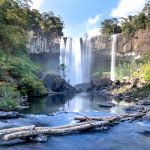 Các loại răng giả: Tìm hiểu về các loại răng giả phổ biến và cách chọn lựa phù hợp