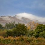 35 tuổi có thể niềng răng hay không? Giải đáp thắc mắc và tư vấn chuyên nghiệp